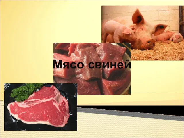 Классификаця Мясо свиней