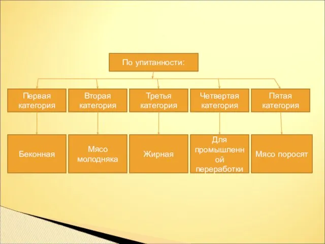 По упитанности: Первая категория Четвертая категория Вторая категория Третья категория Пятая