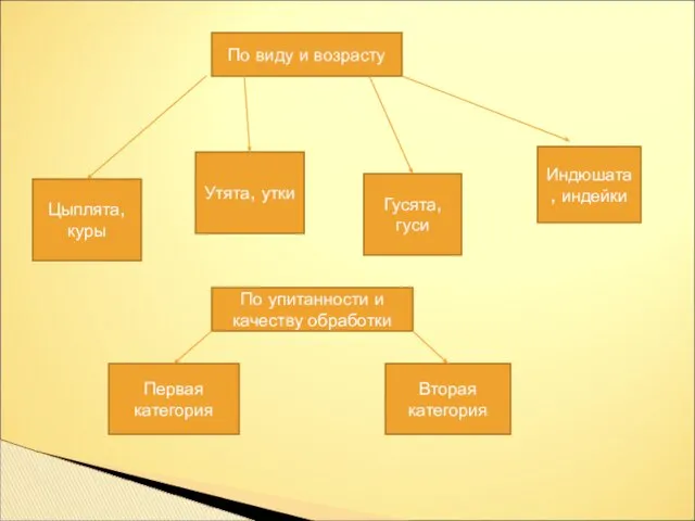 По виду и возрасту Цыплята, куры Утята, утки Гусята, гуси Индюшата