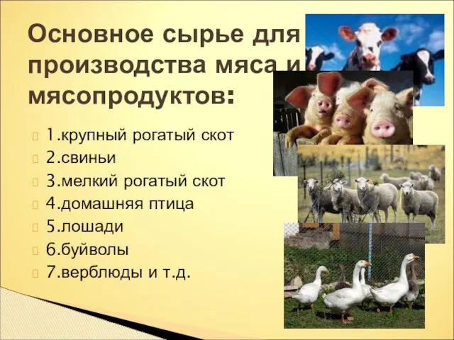 1.крупный рогатый скот 2.свиньи 3.мелкий рогатый скот 4.домашняя птица 5.лошади 6.буйволы