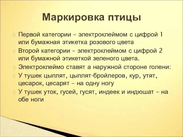 Первой категории – электроклеймом с цифрой 1 или бумажная этикетка розового