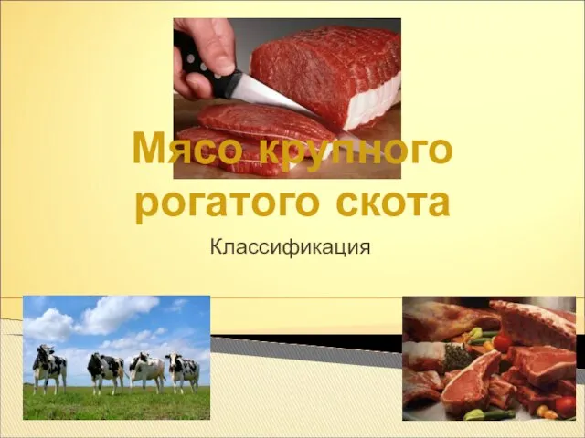 Классификация Мясо крупного рогатого скота