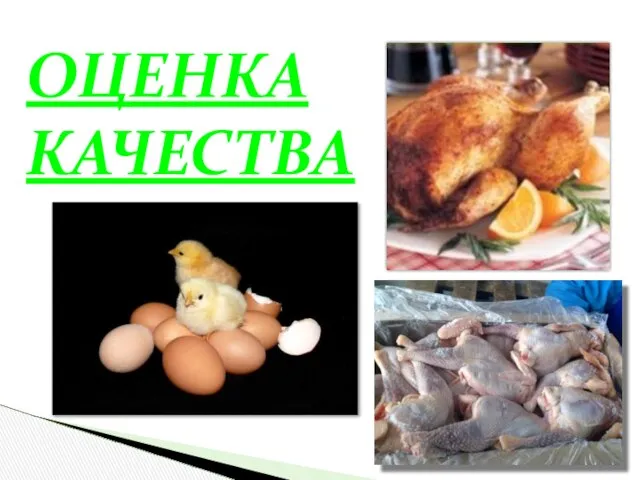 ОЦЕНКА КАЧЕСТВА