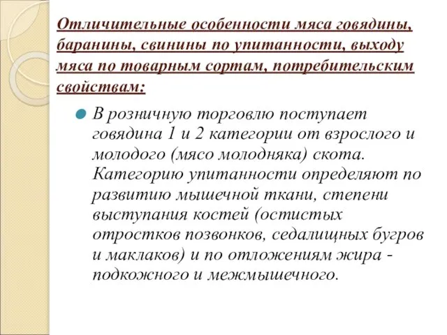 Отличительные особенности мяса говядины, баранины, свинины по упитанности, выходу мяса по