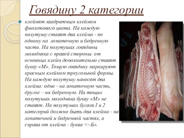 Говядину 2 категории клеймят квадратным клеймом фиолетового цвета. На каждую полутушу