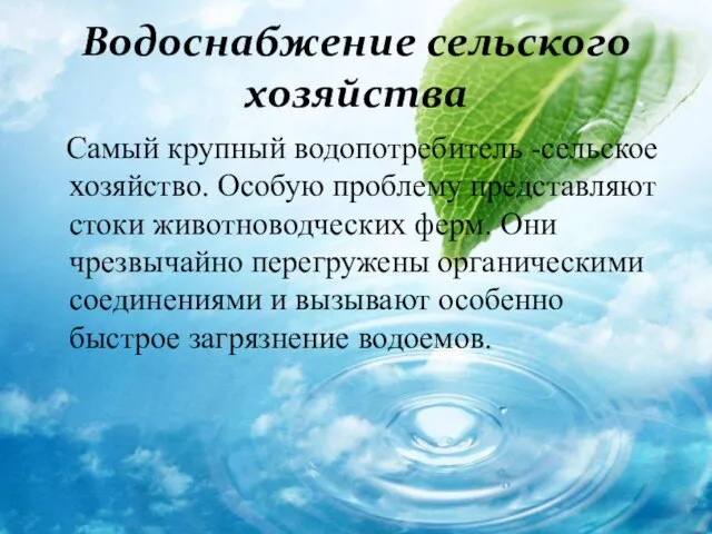 Водоснабжение сельского хозяйства Самый крупный водопотребитель -сельское хозяйство. Особую проблему представляют