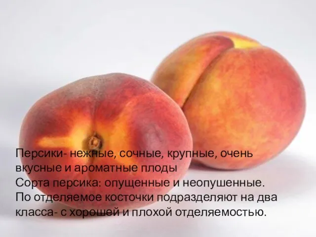 Персики- нежные, сочные, крупные, очень вкусные и ароматные плоды Сорта персика: