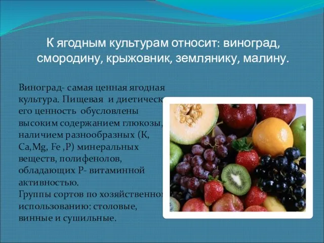 К ягодным культурам относит: виноград, смородину, крыжовник, землянику, малину. Виноград- самая