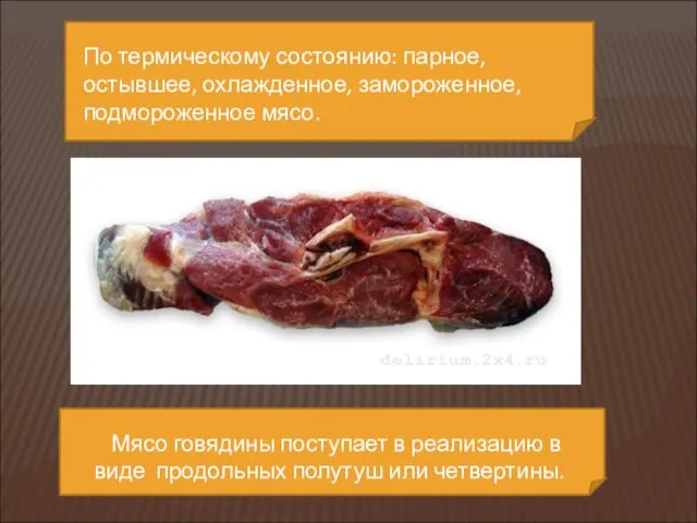 Мясо говядины поступает в реализацию в виде продольных полутуш или четвертины.