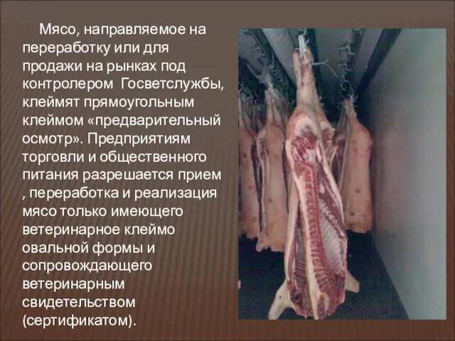 Мясо, направляемое на переработку или для продажи на рынках под контролером