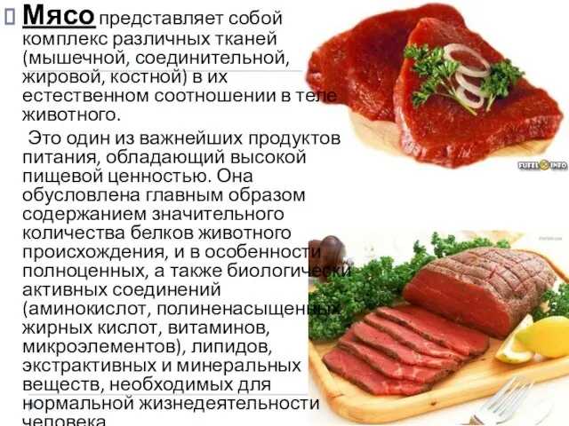 Мясо представляет собой комплекс различных тканей (мышечной, соединительной, жировой, костной) в