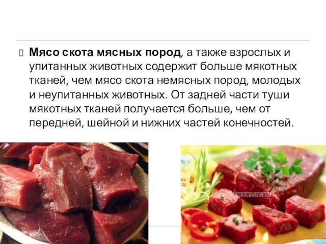 Мясо скота мясных пород, а также взрослых и упитанных животных содержит