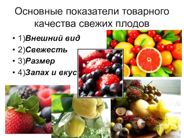 Основные показатели товарного качества свежих плодов 1)Внешний вид 2)Свежесть 3)Размер 4)Запах и вкус