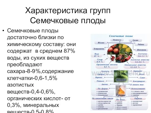 Характеристика групп Семечковые плоды Семечковые плоды достаточно близки по химическому составу: