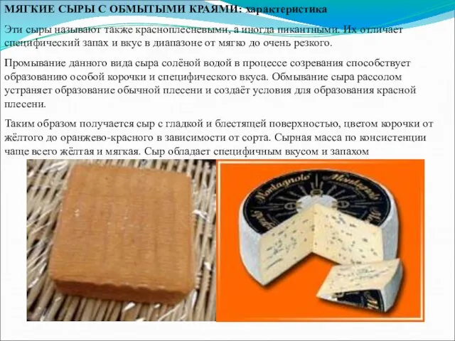 МЯГКИЕ СЫРЫ С ОБМЫТЫМИ КРАЯМИ: характеристика Эти сыры называют также красноплесневыми,