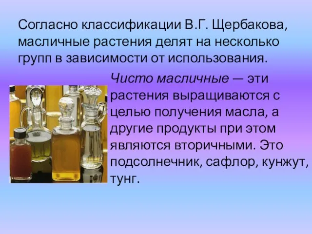 Согласно классификации В.Г. Щербакова, масличные растения делят на несколько групп в