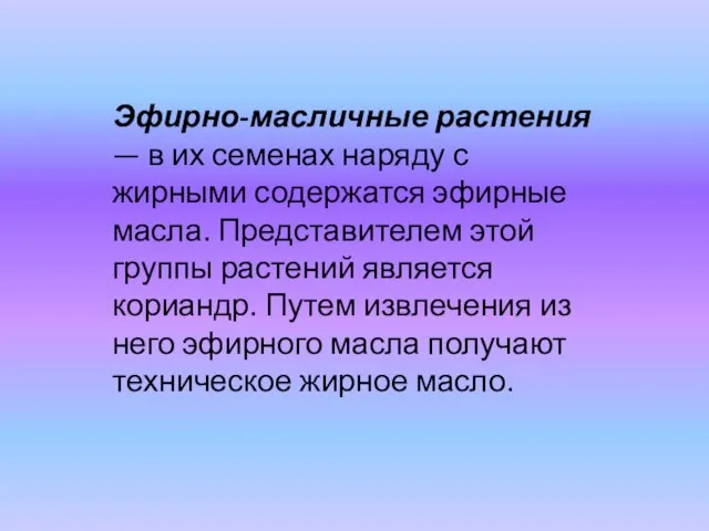 Эфирно-масличные растения — в их семенах наряду с жирными содержатся эфирные