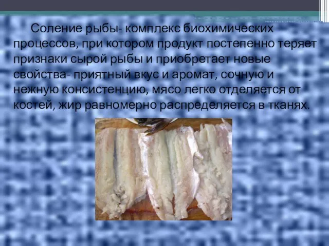 Соление рыбы- комплекс биохимических процессов, при котором продукт постепенно теряет признаки