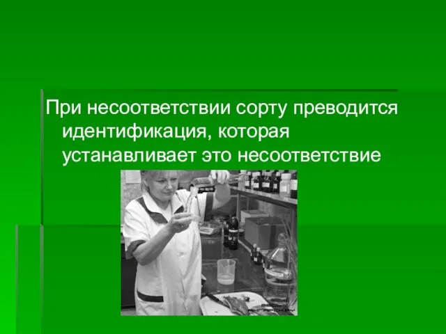 При несоответствии сорту преводится идентификация, которая устанавливает это несоответствие