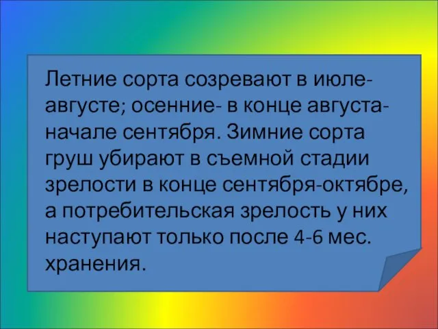 Летние сорта созревают в июле-августе; осенние- в конце августа-начале сентября. Зимние