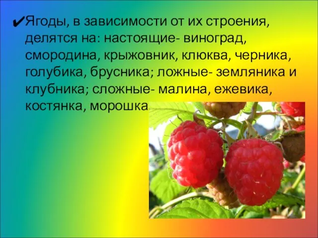 Ягоды, в зависимости от их строения, делятся на: настоящие- виноград, смородина,