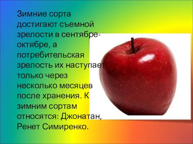 Зимние сорта достигают съемной зрелости в сентябре-октябре, а потребительская зрелость их