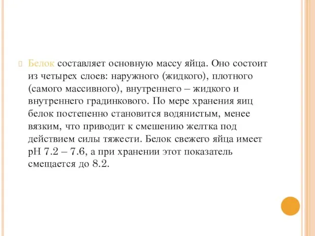 Белок составляет основную массу яйца. Оно состоит из четырех слоев: наружного