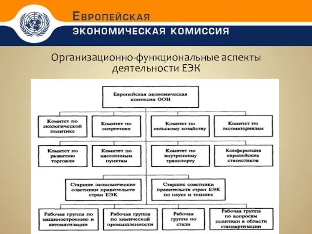 Организационно-функциональные аспекты деятельности ЕЭК