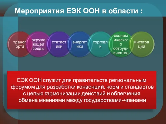 Мероприятия ЕЭК ООН в области : ЕЭК ООН служит для правительств