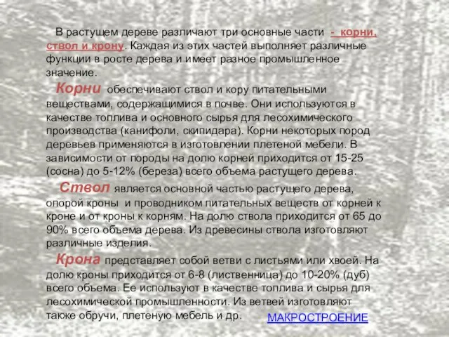 В растущем дереве различают три основные части - корни, ствол и