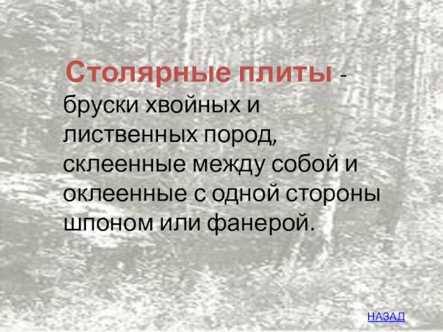 Столярные плиты - бруски хвойных и лиственных пород, склеенные между собой