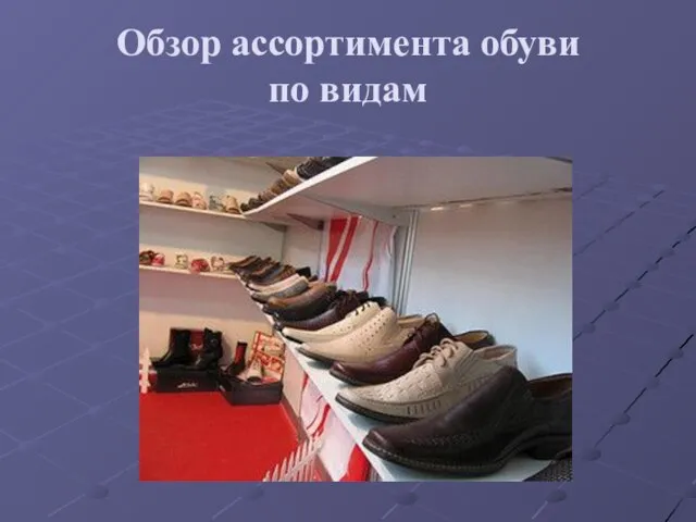 Обзор ассортимента обуви по видам