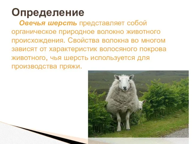 Овечья шерсть представляет собой органическое природное волокно животного происхождения. Свойства волокна