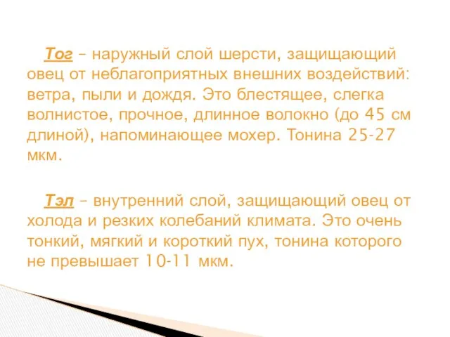 Тог – наружный слой шерсти, защищающий овец от неблагоприятных внешних воздействий: