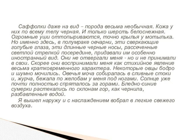 Саффолки даже на вид – порода весьма необычная. Кожа у них