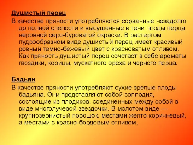 Душистый перец В качестве пряности употребляются сорванные незадолго до полной спелости