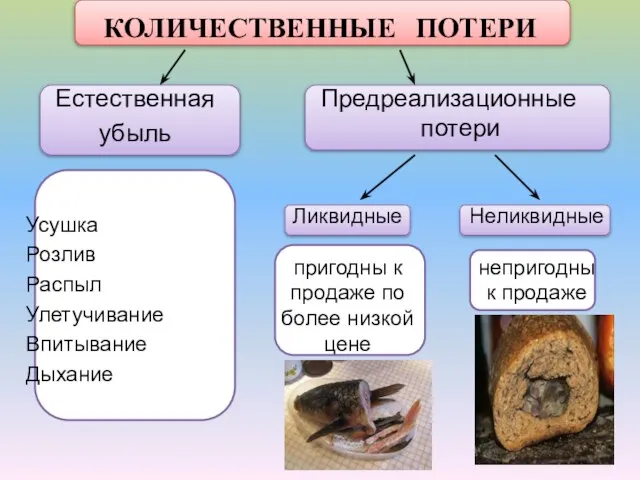 КОЛИЧЕСТВЕННЫЕ ПОТЕРИ Естественная убыль Усушка Розлив Распыл Улетучивание Впитывание Дыхание Предреализационные