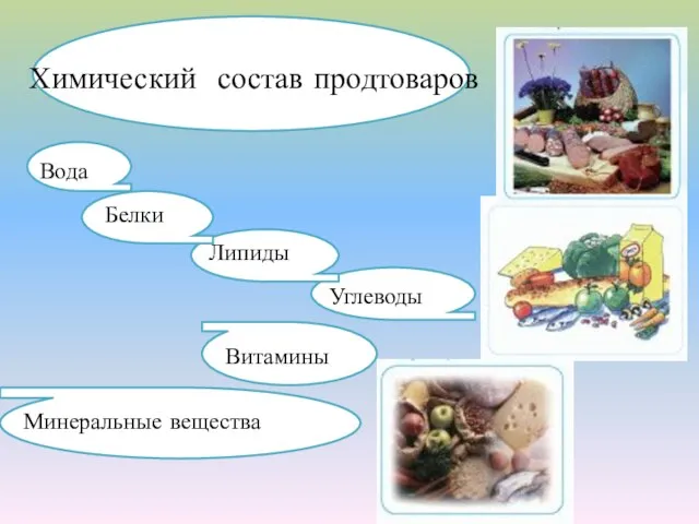 Химический состав продтоваров Вода Белки Липиды Углеводы Витамины Минеральные вещества