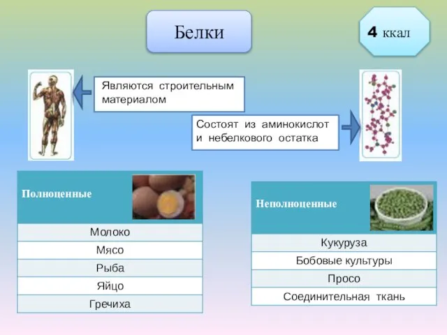 Белки Являются строительным материалом Состоят из аминокислот и небелкового остатка 4 ккал