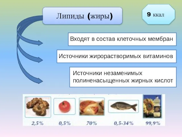 Липиды (жиры) Входят в состав клеточных мембран Источники жирорастворимых витаминов Источники