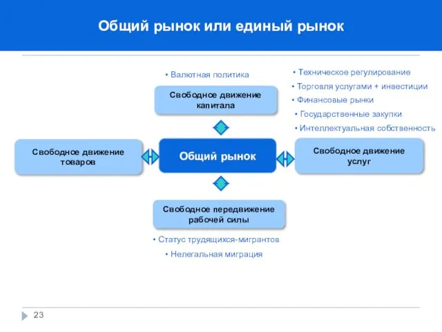 Свободное передвижение рабочей силы Свободное движение услуг Интеллектуальная собственность Валютная политика