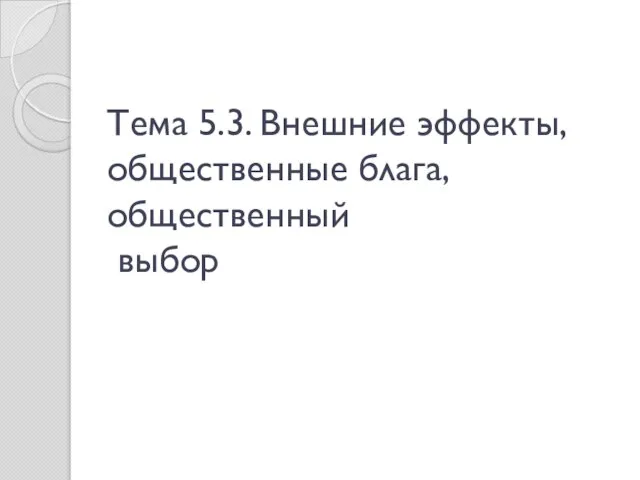 Тема 5.3. Внешние эффекты, общественные блага, общественный выбор