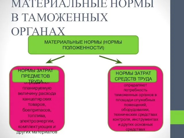 МАТЕРИАЛЬНЫЕ НОРМЫ В ТАМОЖЕННЫХ ОРГАНАХ МАТЕРИАЛЬНЫЕ НОРМЫ (НОРМЫ ПОЛОЖЕННОСТИ) определяют планируемую