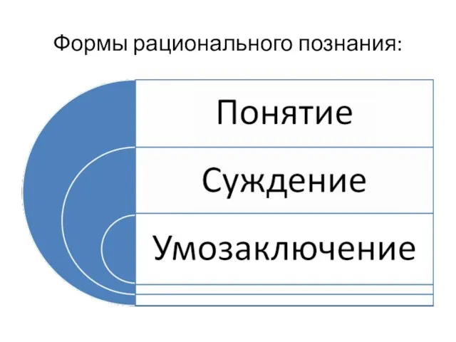 Формы рационального познания: