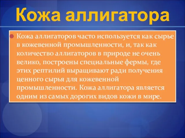 Кожа аллигатора Кожа аллигаторов часто используется как сырье в кожевенной промышленности,