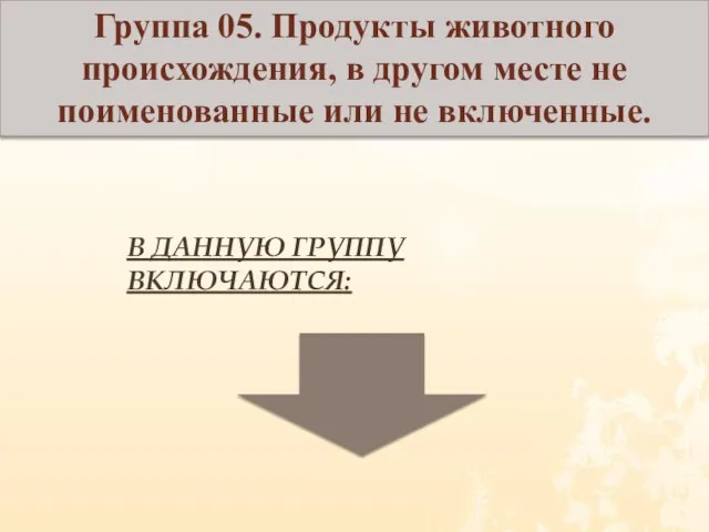 Группа 05. Продукты животного происхождения, в другом месте не поименованные или