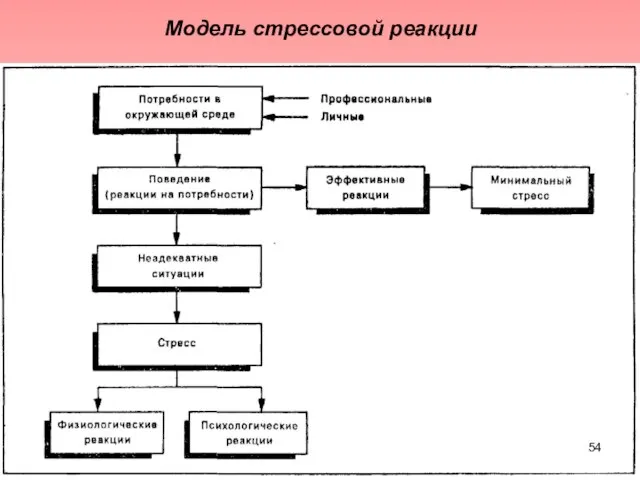 Модель стрессовой реакции