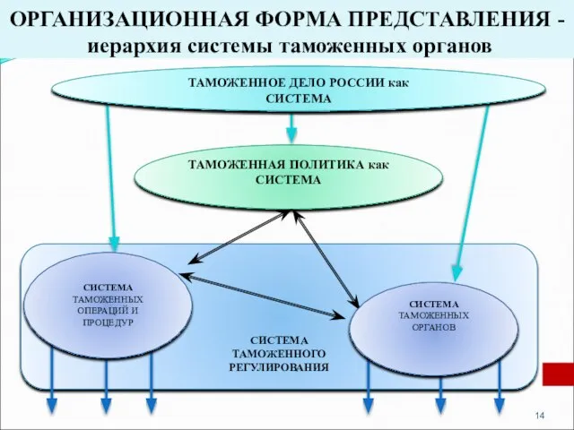 ОРГАНИЗАЦИОННАЯ ФОРМА ПРЕДСТАВЛЕНИЯ - иерархия системы таможенных органов СИСТЕМА ТАМОЖЕННОГО РЕГУЛИРОВАНИЯ