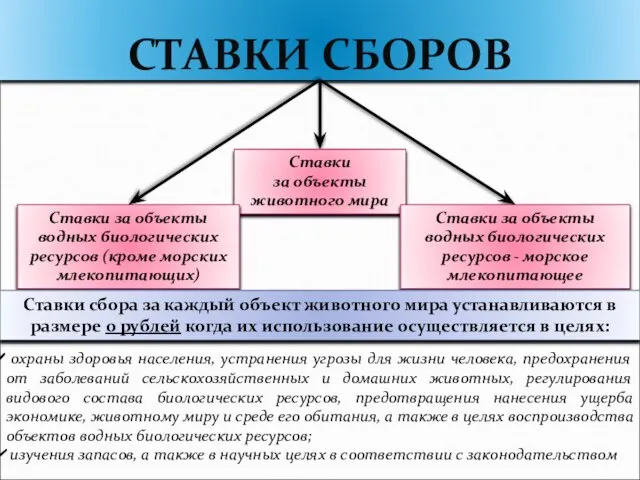 СТАВКИ СБОРОВ Ставки за объекты животного мира Ставки за объекты водных