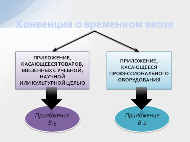 Конвенция о временном ввозе ПРИЛОЖЕНИЕ, КАСАЮЩЕЕСЯ ТОВАРОВ, ВВЕЗЕННЫХ С УЧЕБНОЙ, НАУЧНОЙ